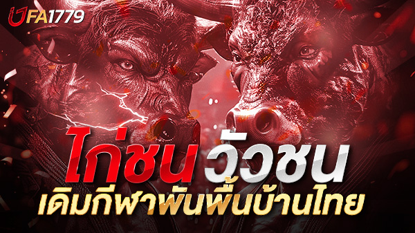 ไก่ชน วัวชน กีฬาเดิมพันพื้นบ้านไทยที่กำลังกลับมาแรงในยุคดิจิทัล